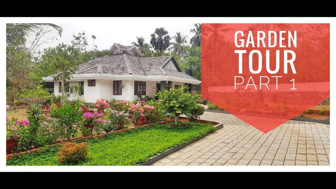 Outdoor Garden Tour  Part #1 | Home Garden | Gardening Tips