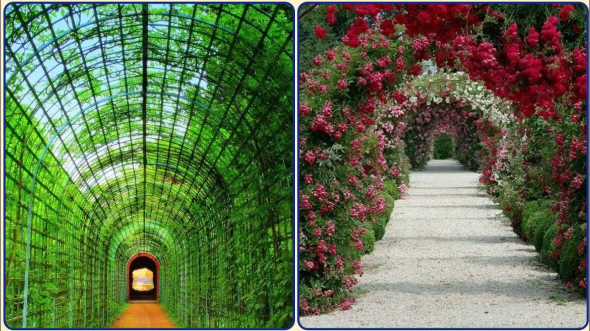 Unique Tunnel Garden - Inspiration Landscaping Design Ideas