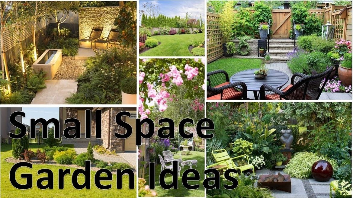 Best Small Garden Ideas for Small Space Best Small Garden Ideas for Small Space