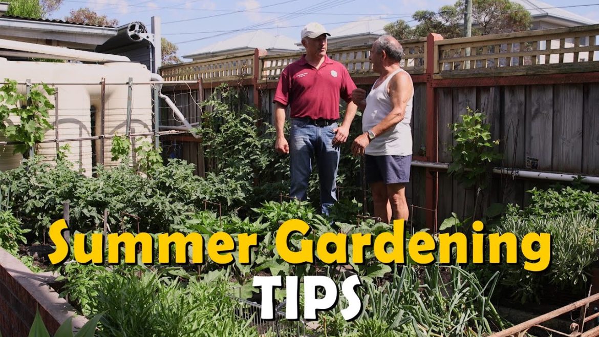Summer Gardening Tips with Gaetano – Vasili's Classics Summer Gardening Tips with Gaetano - Vasili's Classics