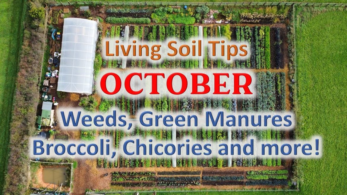 No-Dig Gardening Seasonal Tips – October No-Dig Gardening Seasonal Tips - October