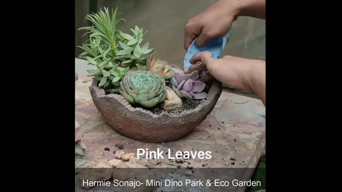 Creative Garden Ideas by Hermie Sonajo