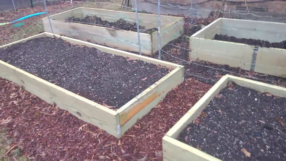 How I added coffee grounds to my container garden