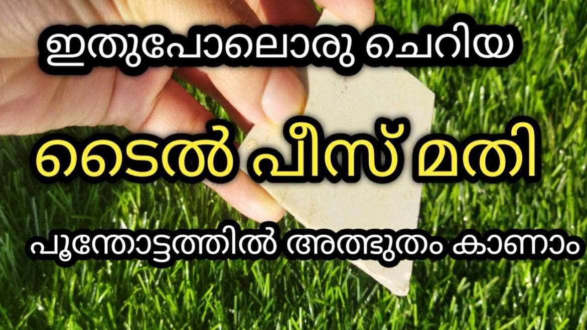 ചിലവില്ലാതെ ഒരുക്കാം കുഞ്ഞു ഗാർഡൻ/gardening ideas using waste material/gardening/landscaping desing