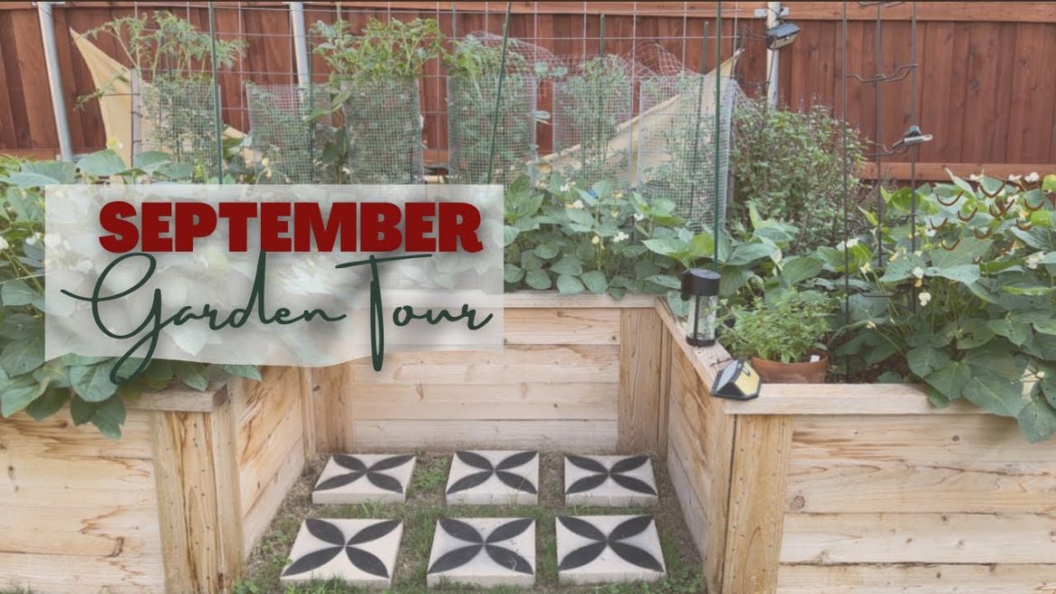 Late September Garden Tour / #backyardgarden