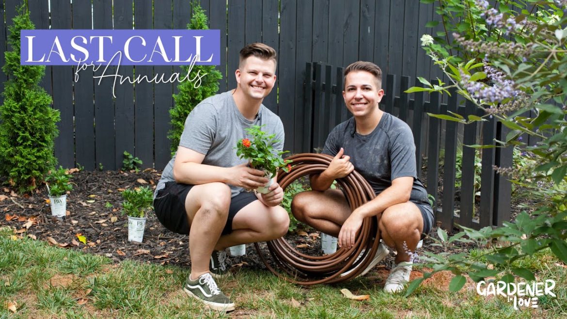 Last Call for Annuals + Installing Drip Irrigation | Gardener in Love