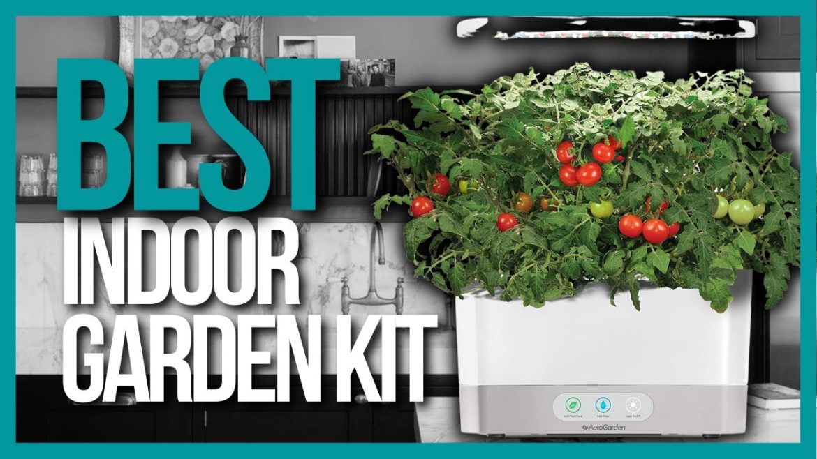 📌 TOP 5 Best Indoor Gardening Kit 2022
