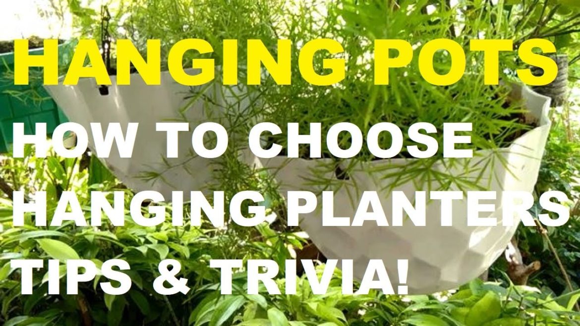 HANGING POTS | HANGING PLANTERS | HOW TO CHOOSE HANGING POTS | GARDENING PHILIPPINES