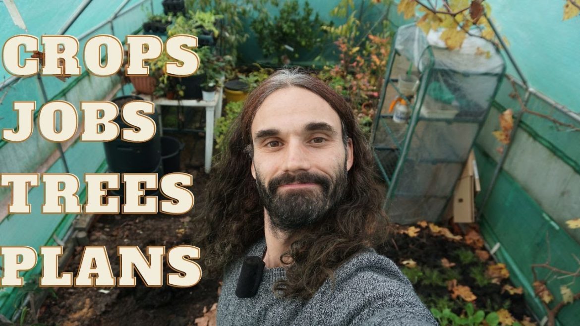 Autumn Winter polytunnel crops | Jobs | Plans | Home garden | Allotment