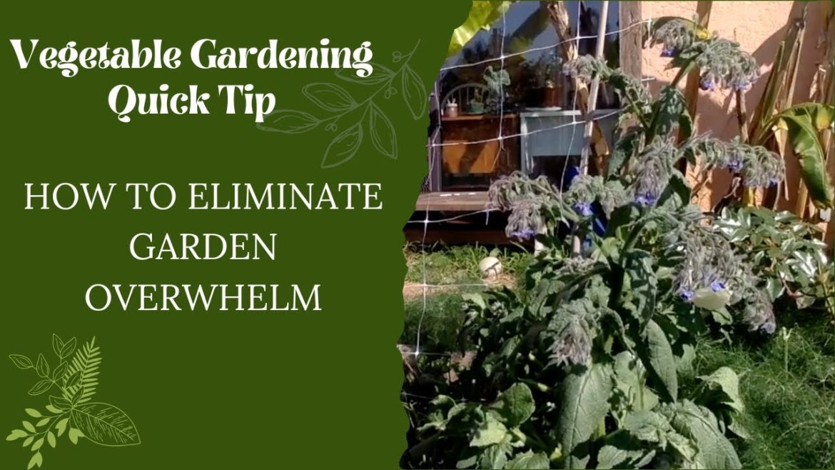 Quick Gardening Tip: How to Eliminate Garden Overwhelm Quick Gardening Tip: How to Eliminate Garden Overwhelm