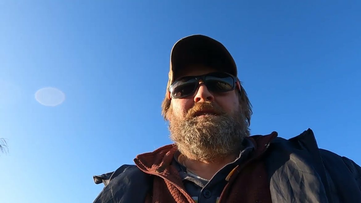 Allotment Diary : Quick update. Allotment Diary : Quick update.