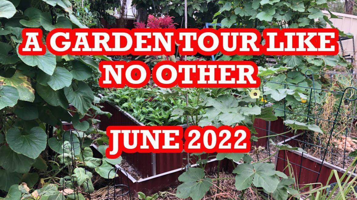 Backyard Garden Tour Like No Other - June 2022