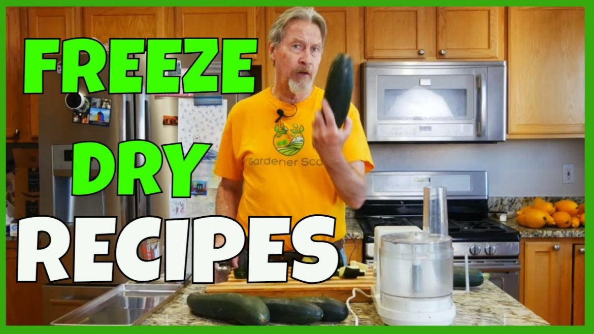 How to Freeze Dry Zucchini (AND THEN USE IT) How to Freeze Dry Zucchini (AND THEN USE IT)