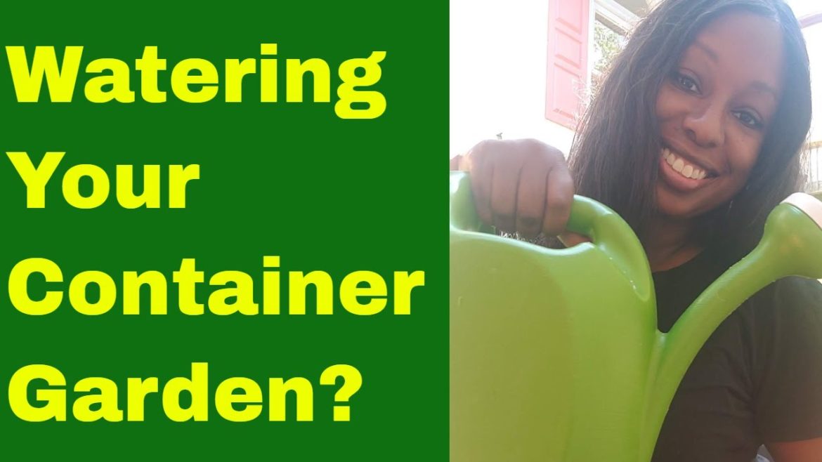 Watering your Container Garden? [Tips for Container Gardening 2020 ]