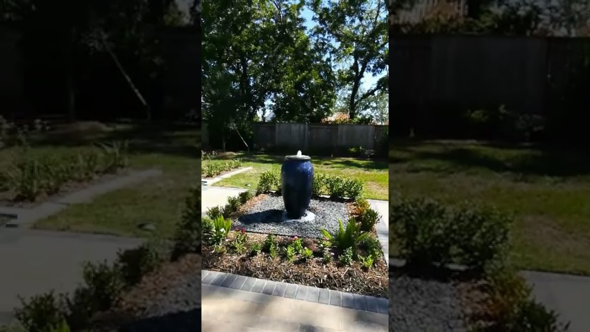 Backyard Landscape 9/15/22