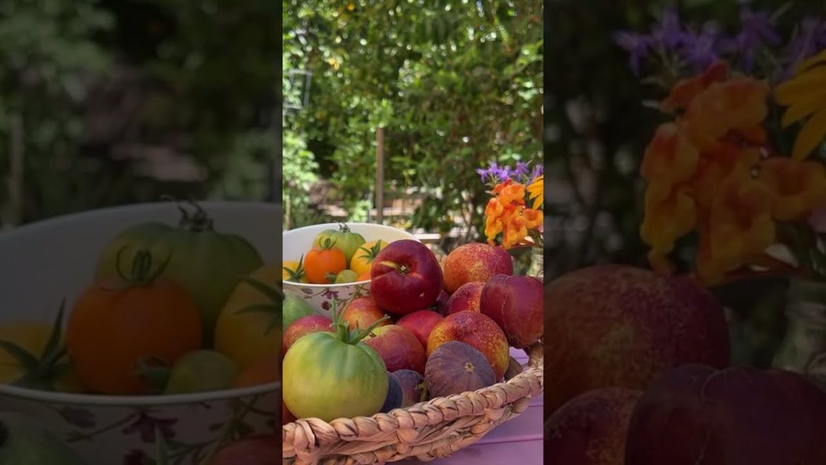 Growing food in the backyard garden 🌱🍑  #shorts #shortvideo