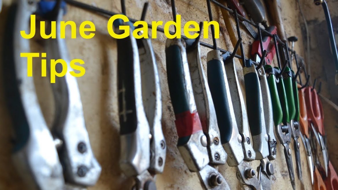 June Garden Tips June Garden Tips