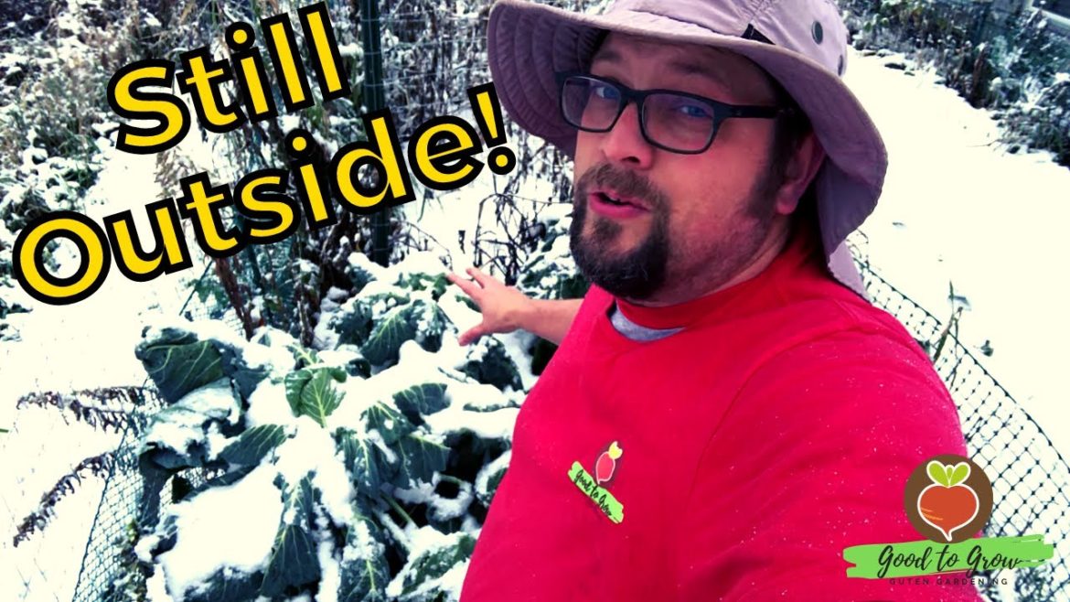 Growing While It's Snowing | November Garden Tour Growing While It's Snowing | November Garden Tour