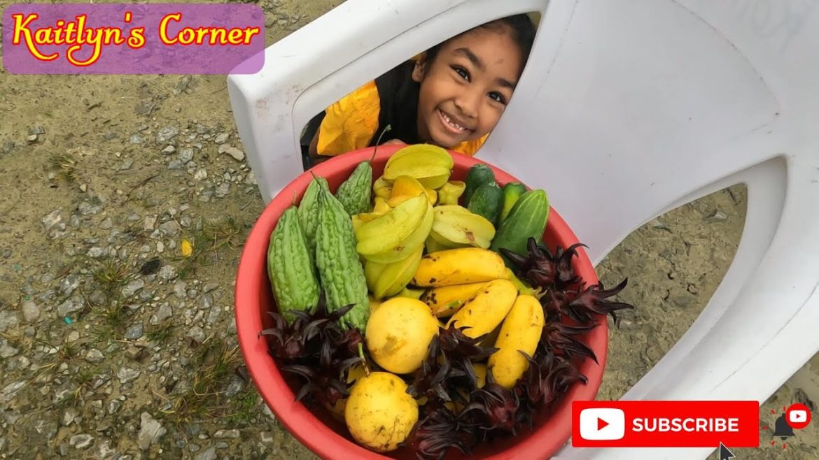 Kaitlyn's Backyard Garden