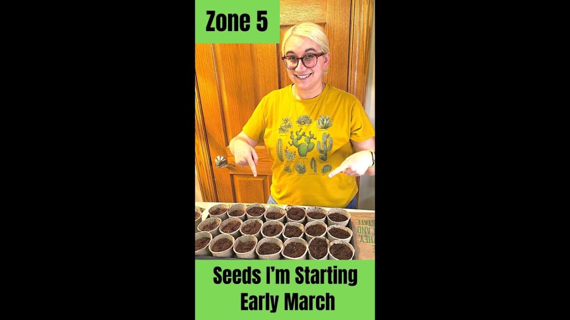 How to Start Seeds: Garden Tips for Beginners (What to Start in March 2022 Zone 5 Part 1)