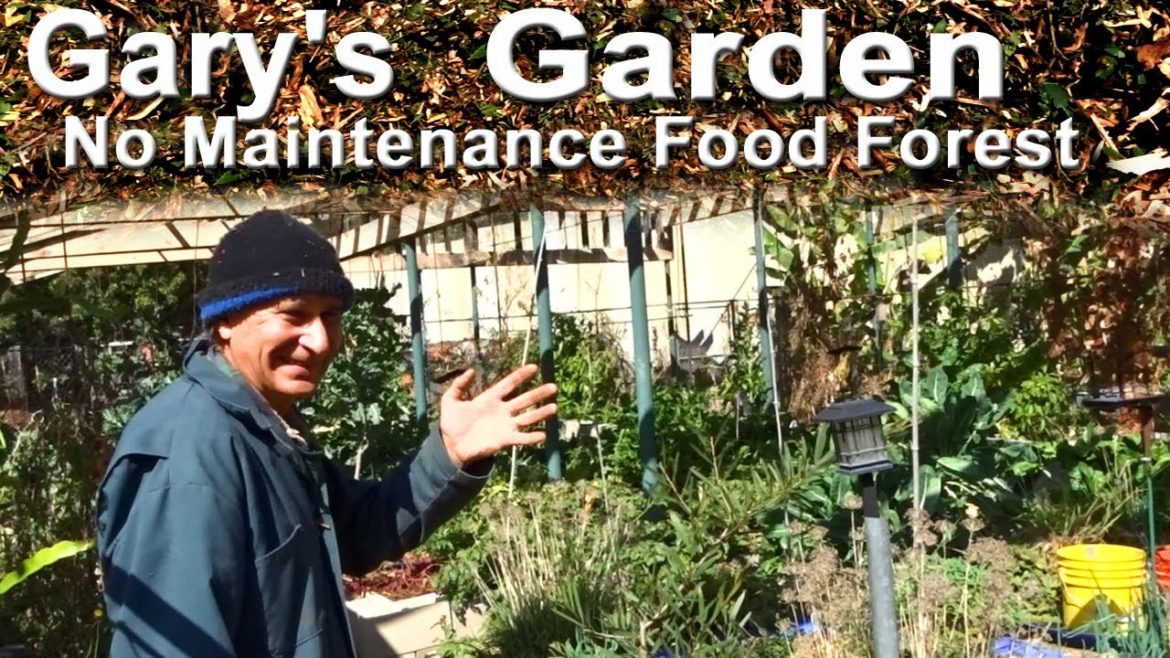 EASY Compost, Permaculture Food Forest Garden, Foraging in Woodchips, Container Gardening Raised Bed EASY Compost, Permaculture Food Forest Garden, Foraging in Woodchips, Container Gardening Raised Bed