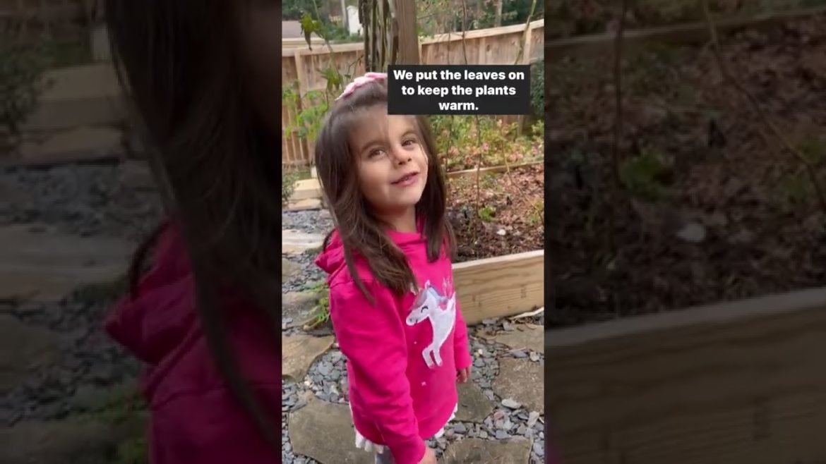 ❄️ winter weather garden prep tips