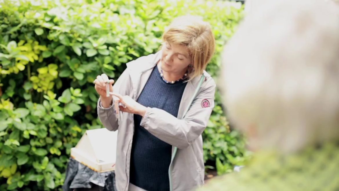 Australian Academy of Garden Design