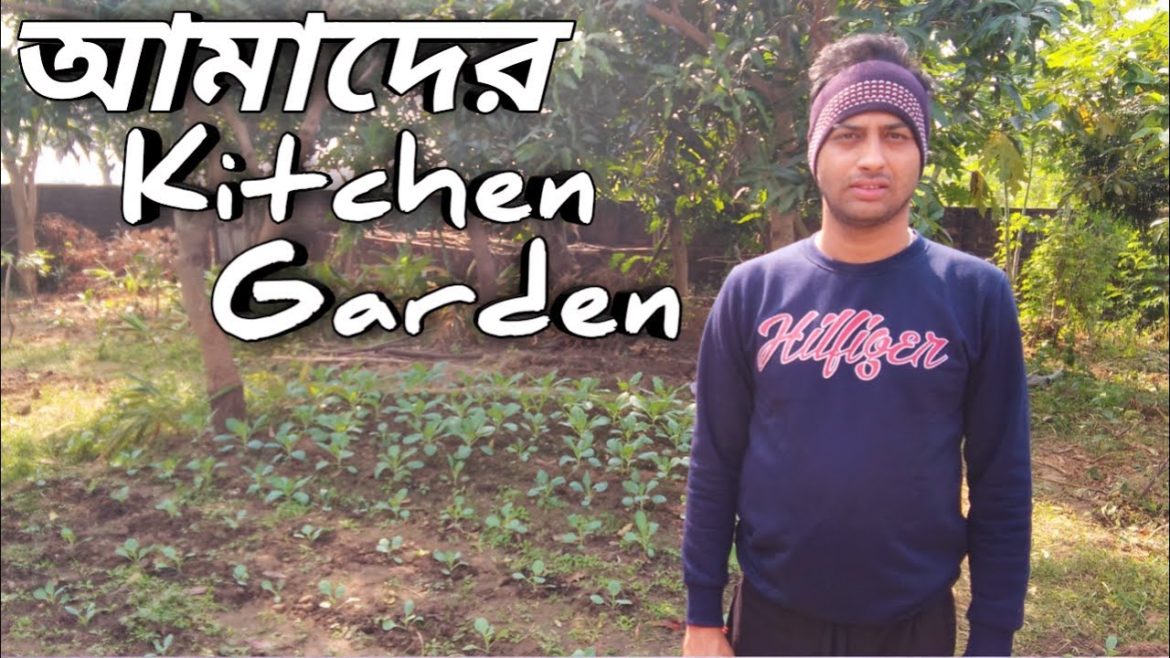 Our kitchen garden tour/village kitchen garden/village vlog/tinkus world