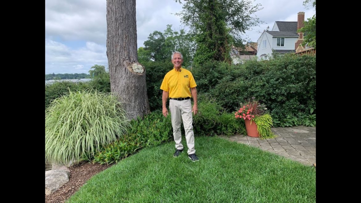 Fall Gardening Tips with Rick ENGLISH GARDENS Fall Gardening Tips with Rick ENGLISH GARDENS