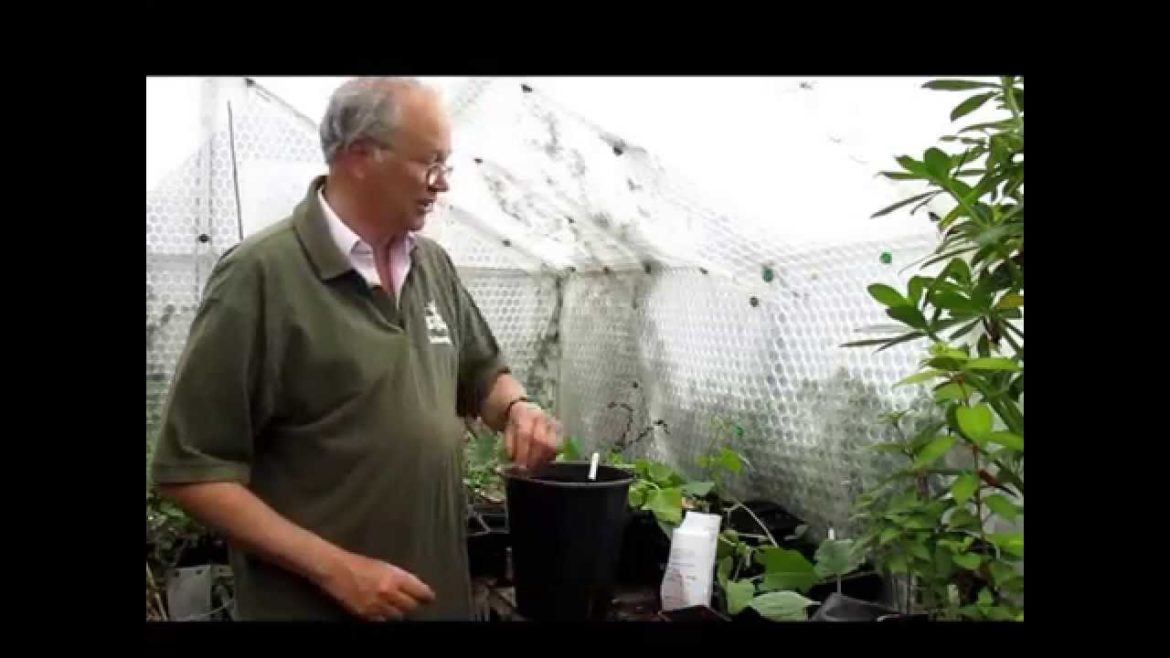 Breckland Master Gardener organic growing tips