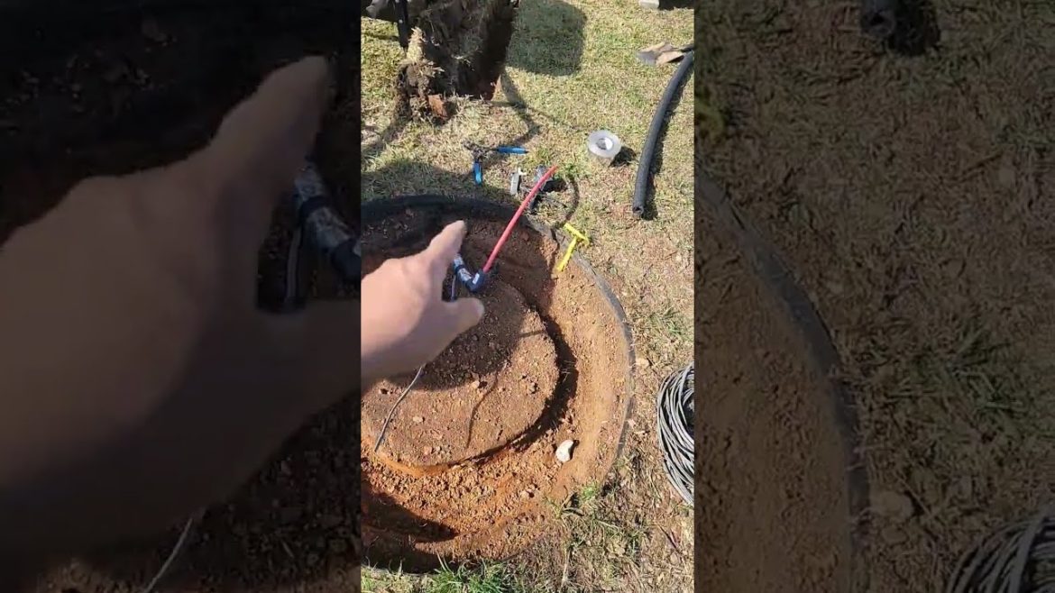 Tips for installing a WATER FOUNTAIN!!!⛲👌 #Fountain #Gardening #Garden #DIY