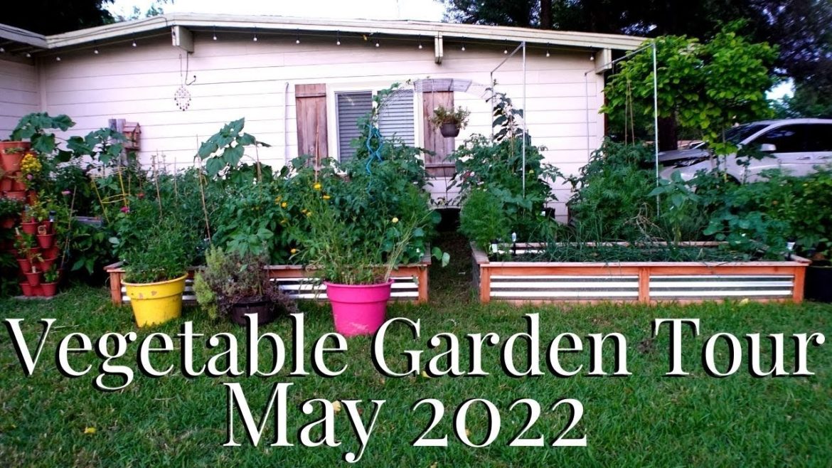 Vegetable Garden Tour May 2022 Vegetable Garden Tour May 2022