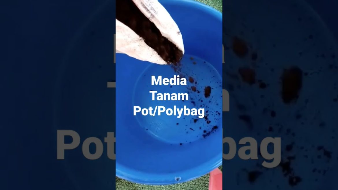 Olah Tanah Pot Olah Tanah Pot