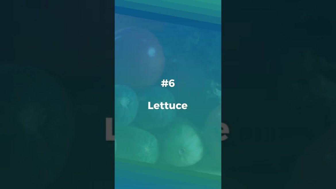 10 Easy To Grow Vegetables at Home | Growing Veggies | Vegetable Gardening | Gardening Tips #shorts 10 Easy To Grow Vegetables at Home | Growing Veggies | Vegetable Gardening | Gardening Tips #shorts