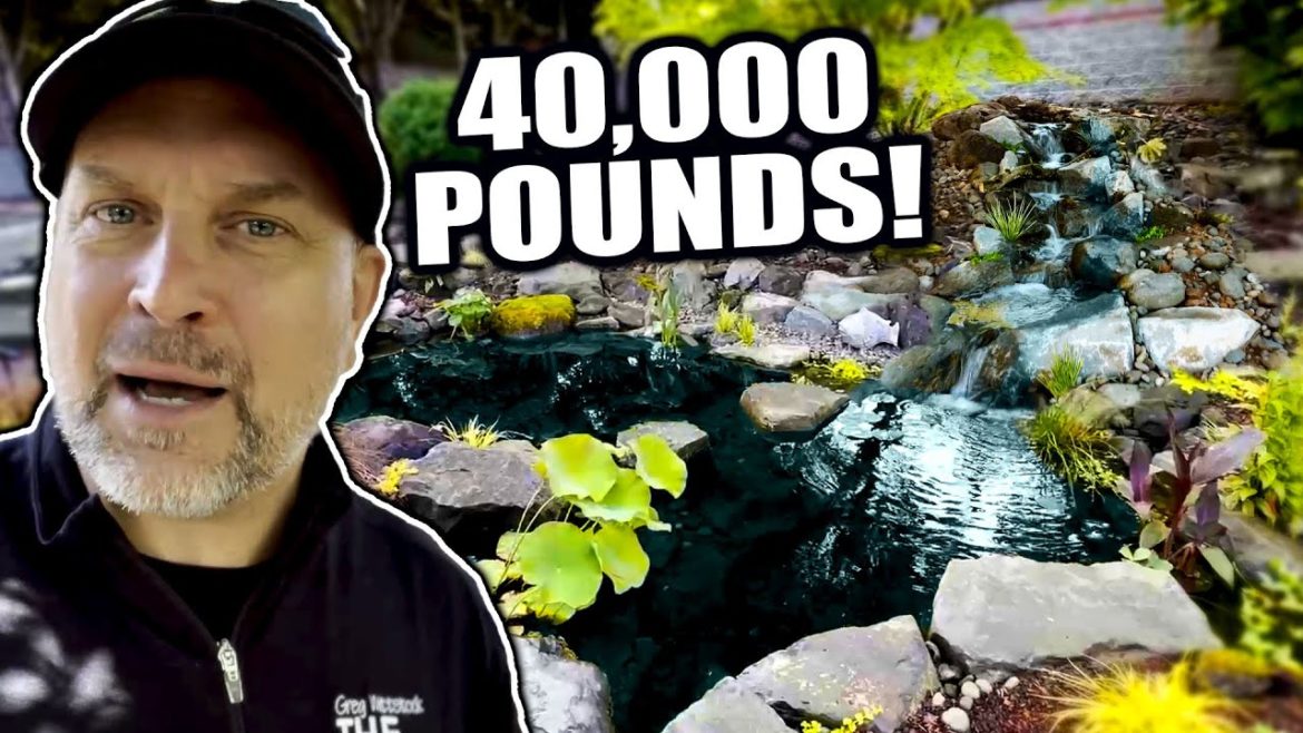 What 20 TONs of Rocks Can Make. KOI POND. What 20 TONs of Rocks Can Make. KOI POND.