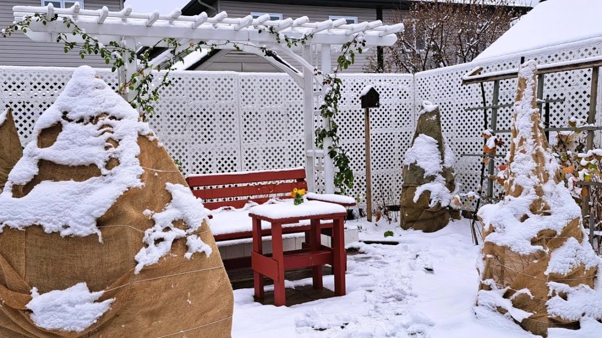 First Snowfall Backyard Garden Tour | Zone 5A Canada