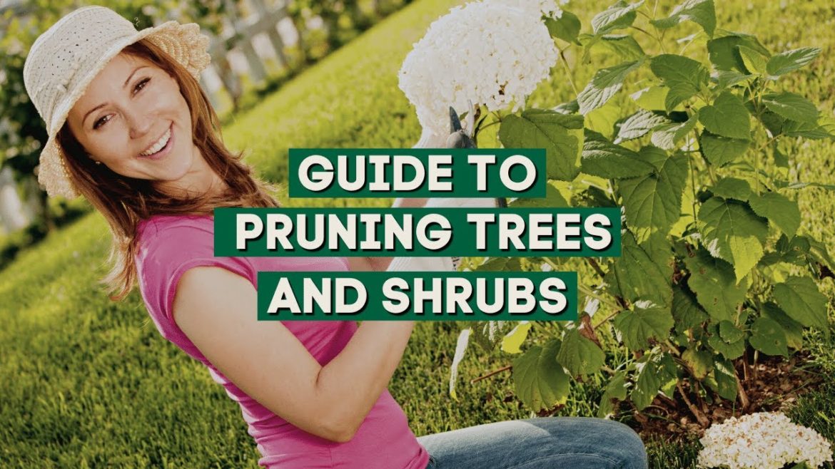 When Should You Prune Your Trees and Shrubs? 🌳 // Garden Tips 💚