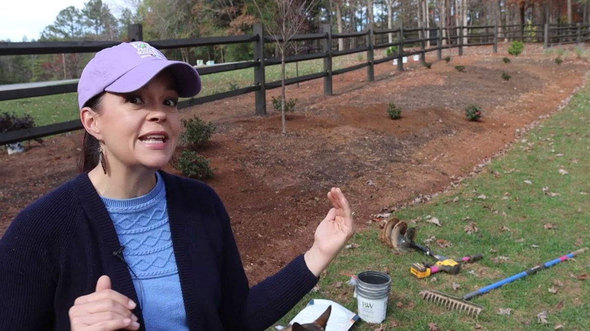 Adding Shrubs for Year-Round Interest | Gardening with Creekside Adding Shrubs for Year-Round Interest | Gardening with Creekside