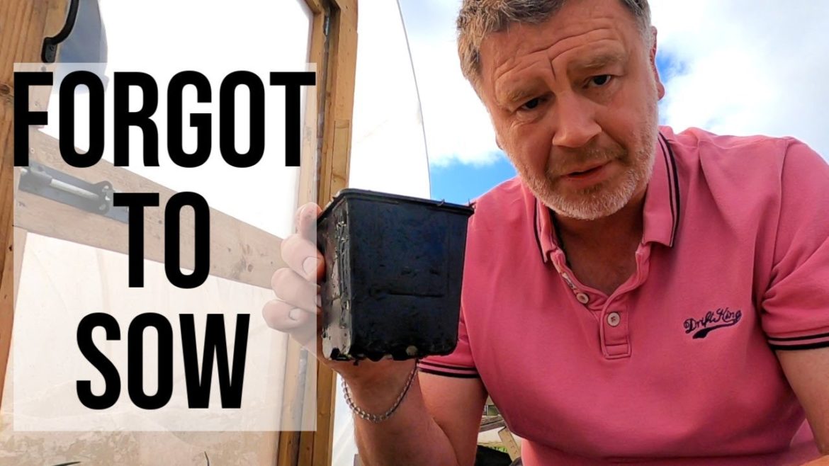 Argh... Vegetables I forgot to sow. Gardening tips on sowing plants