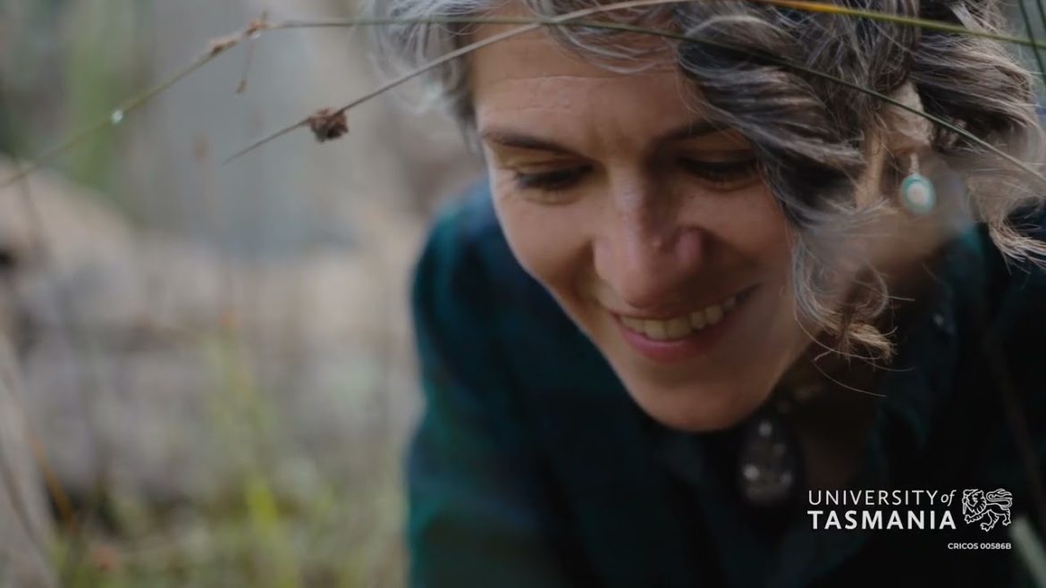 Massive online courses delivering individual and community sustainability country wide