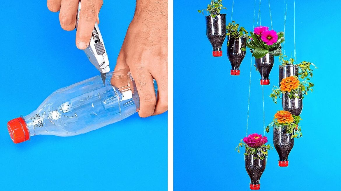 VERTICAL GARDEN AND OTHER HACKS FOR YOUR LOVELY PLANTS