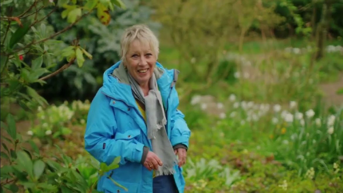 Spring Gardening with Carol Klein🍀Episode 3
