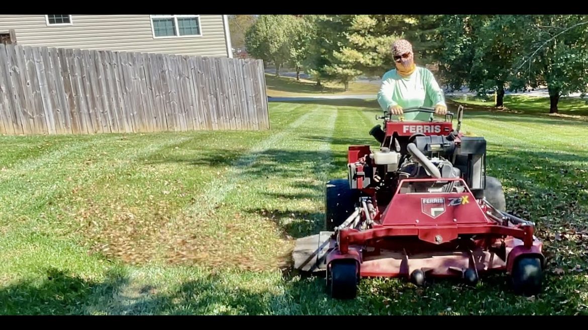 Mowing the only green yard in the neighborhood!