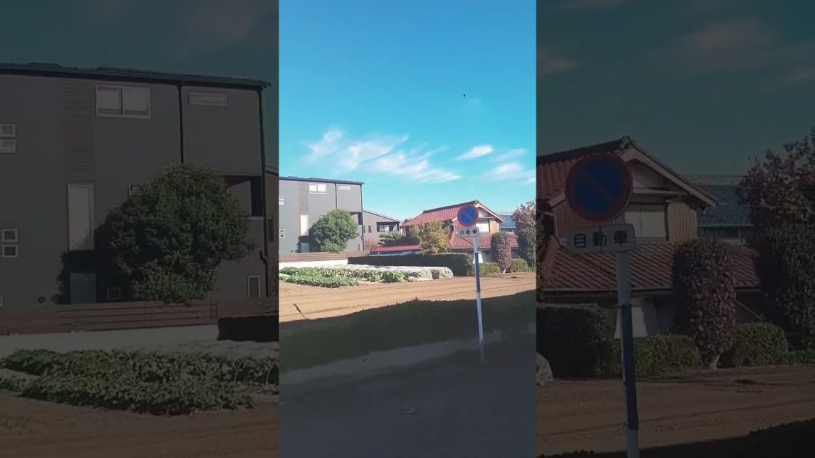 Japanese farming Japanese farming