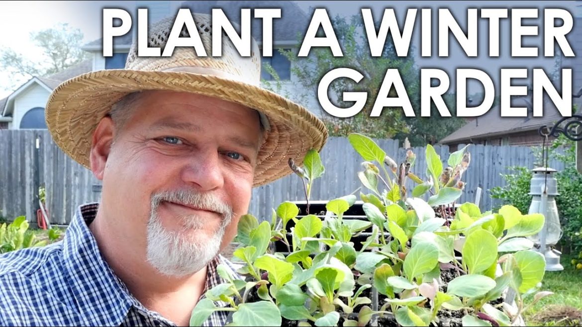 Plant a Winter Garden With Me || Black Gumbo Plant a Winter Garden With Me || Black Gumbo