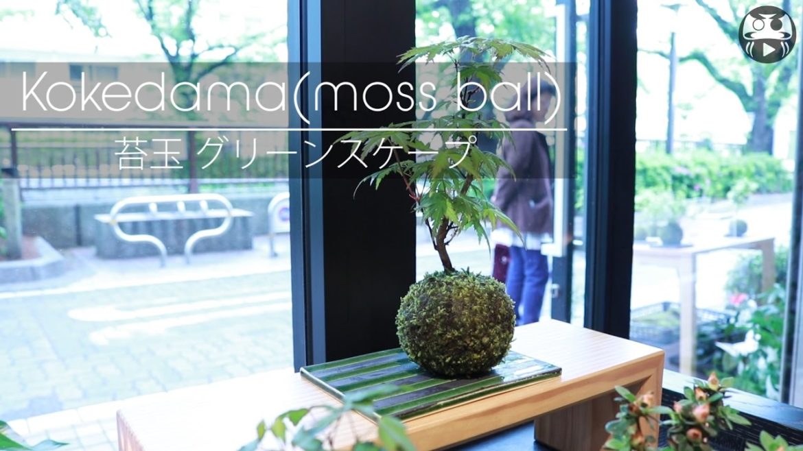 Japanese Gardening – modern plant ball – JapanMade Japanese Gardening - modern plant ball - JapanMade
