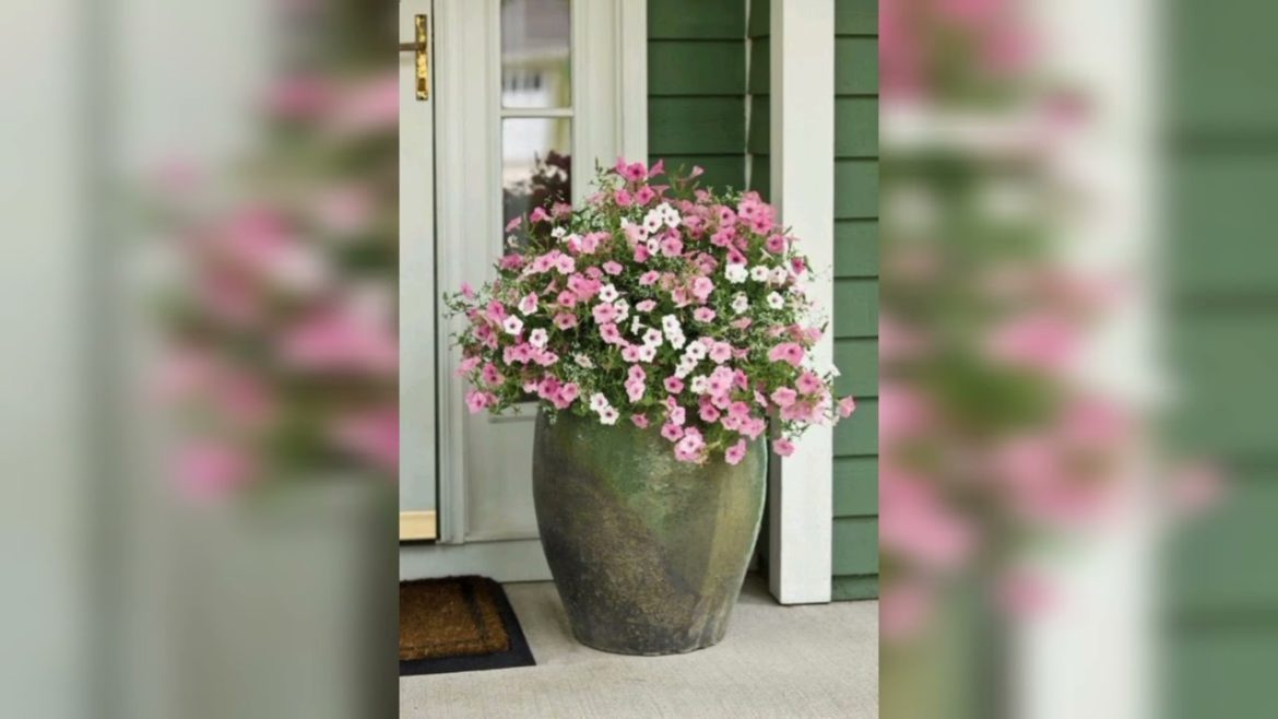 MOST TRENDY AND DECENT TREIED CONTAINER GARDEN IDEAS AND DESIGN