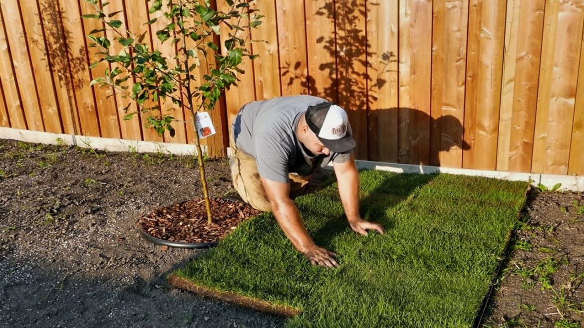 Lay Sod in your Backyard with your Own Hands. I show you how!!