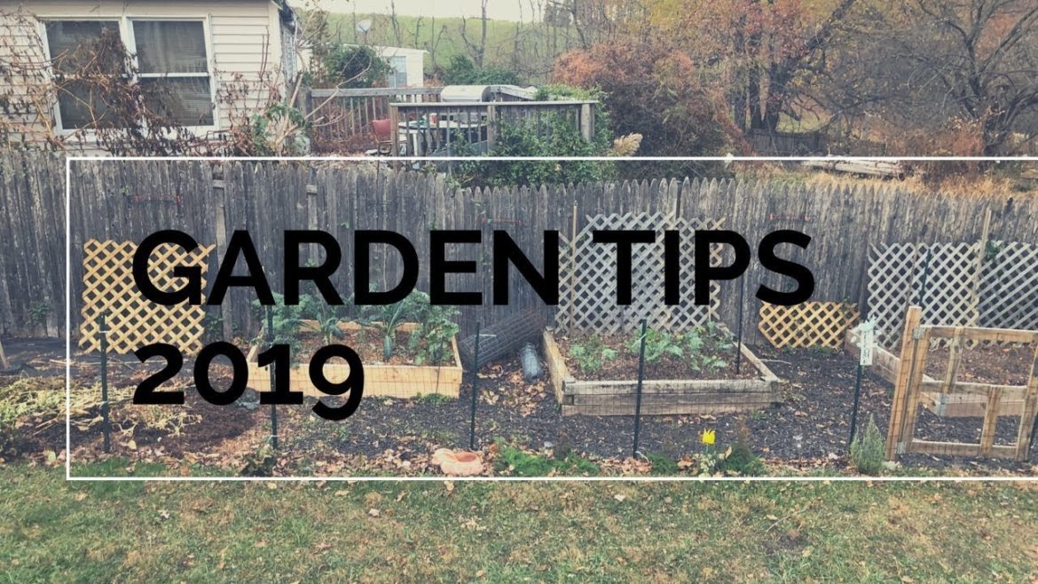 Garden Tips 2019