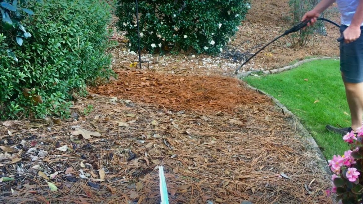 Enviro Pine Straw Dye/Paint. Enviro Pine Straw Dye/Paint.